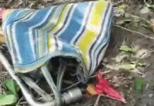 बंगाल में चुनाव बाद हिंसा, सुरक्षाबलों पर फायरिंग, 5 घायल:24 घंटों में 4 हत्याएं, इनमें भाजपा-TMC के 2-2 कार्यकर्ता; तृणमूल ऑफिस पर बुलडोजर चला