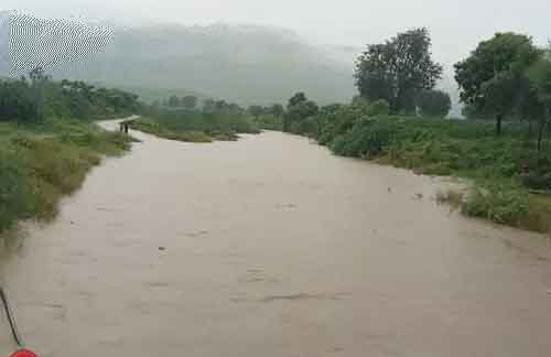 barish-copy