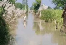 बिहार के 6 जिलों के 255 गांवों में बाढ़:राज्य का 73% हिस्सा बाढ़ प्रभावित; यूपी में 15 नदियां खतरे के निशान से ऊपर